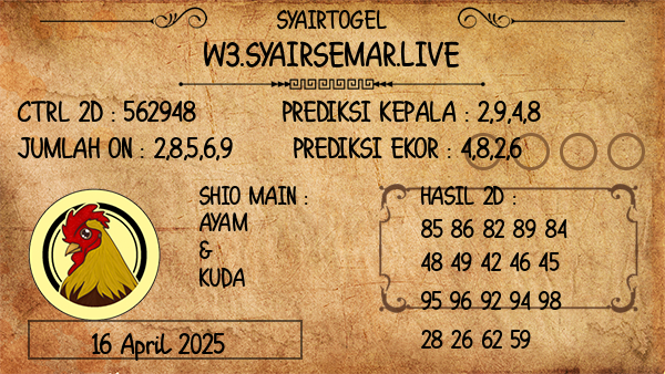 Prediksi Busan Night